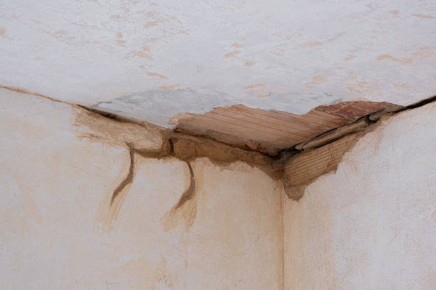 Best Water damage restoration mold remediation  in Lansing, KS