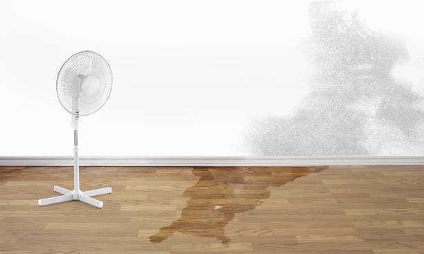 Best Water damage restoration experts  in Lansing, KS