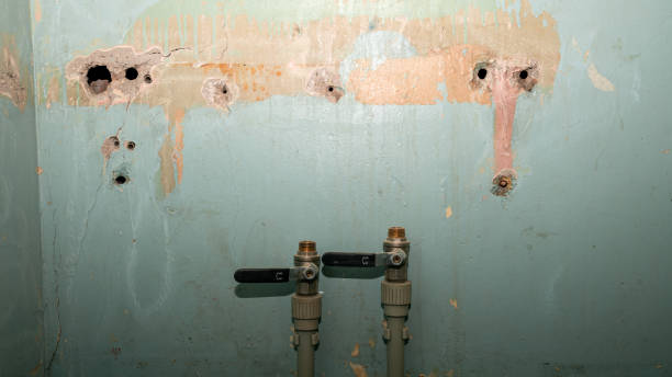 Best 24-hour water damage restoration  in Lansing, KS