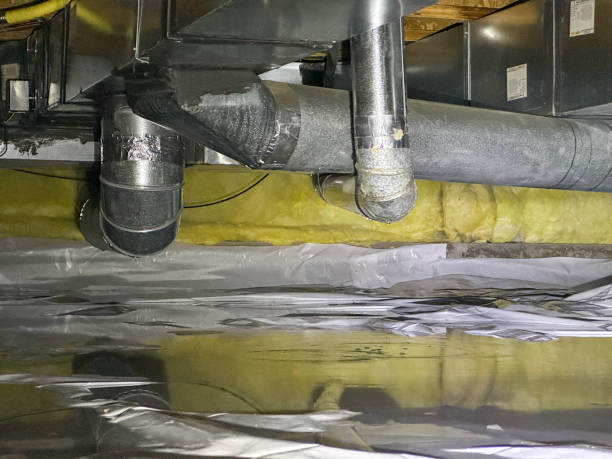 Water damage restoration mold remediation in Lansing, KS