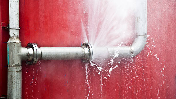 Best Mold removal after water damage  in Lansing, KS